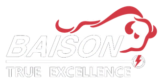 BAISON logo